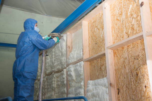 Insulation Contractors for Homes in Saint Johns University, MN