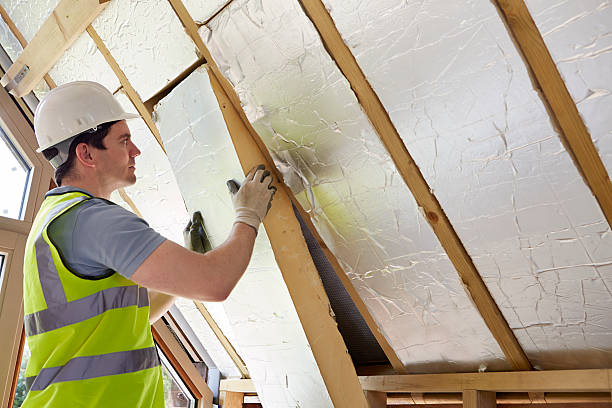 Best Attic Insulation Installation  in Saint Johns University, MN